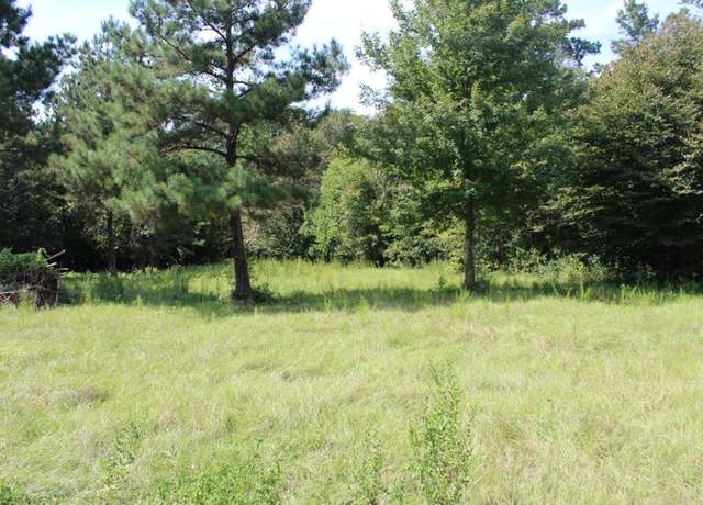 Property at Lots 21 & 22 Cypress Hls, Jasper, TX 75951