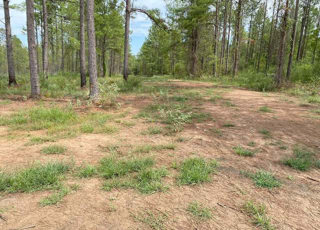 Property at 1265 Lot 6 Fm 844, Huntington, TX 75949