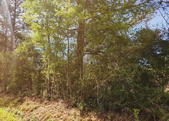 Property at 114675 County Road 1010, Newton, TX 75966