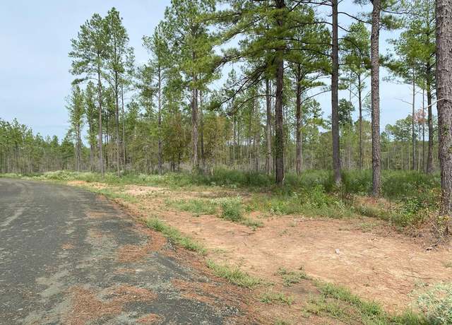 Property at 24633 Lot 19 Fm 844, Huntington, TX 75949