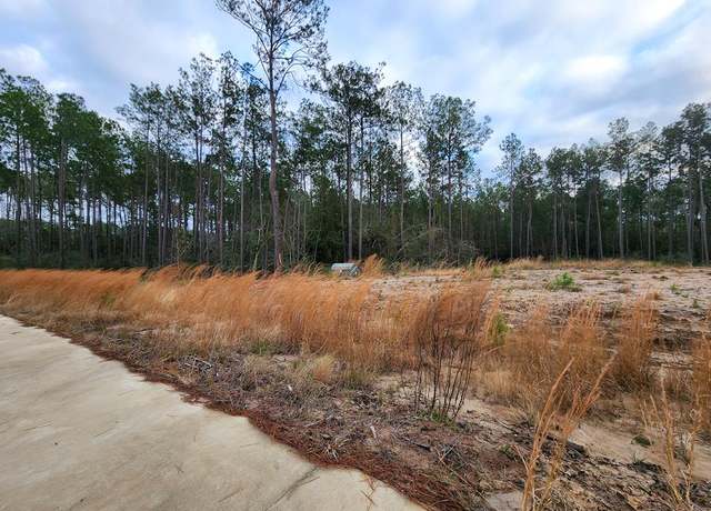 Property at 135 Rayburn Reserve Dr, Jasper, TX 75931