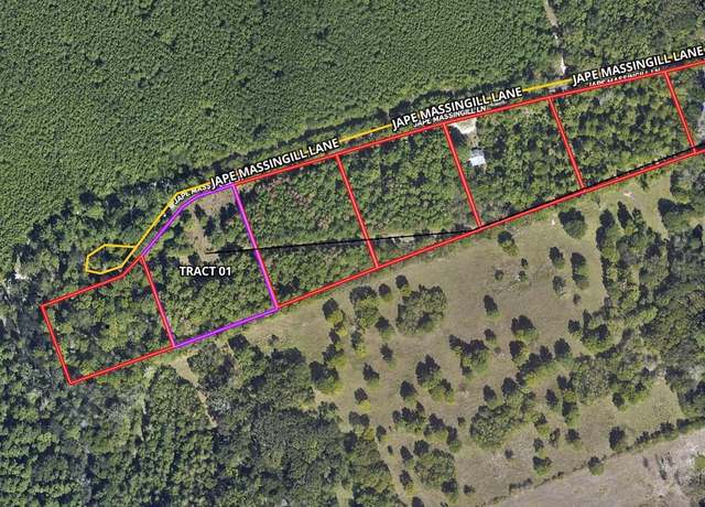 Property at TBD-01 Jape Massingill Ln, Diboll, TX 75941