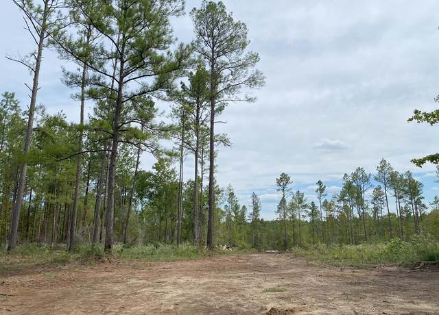 Property at 24633 Lot 27 Fm 844, Huntington, TX 75949
