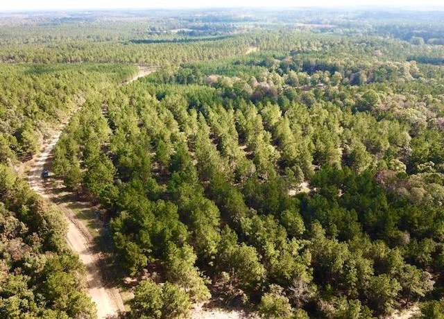 Property at 38.3 ACRES Cr 2310, Woodville, TX 75979