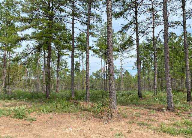 Property at 24633 Lot 28 Fm 844, Huntington, TX 75949