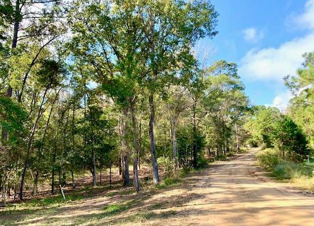 Property at 4.6 ACRES Cr 2310, Woodville, TX 75979