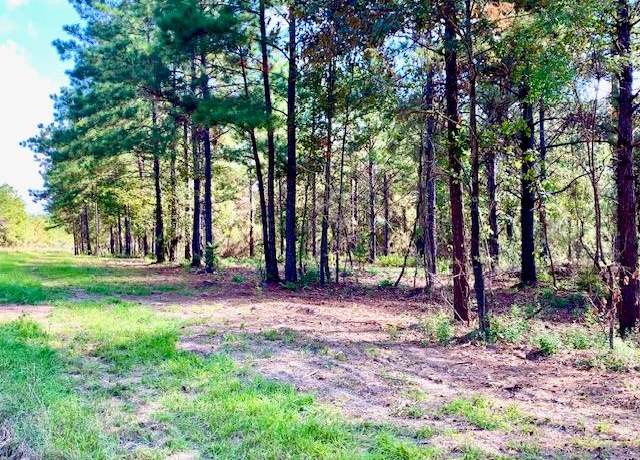 Property at 16 ACRES Cr 2310, Woodville, TX 75979
