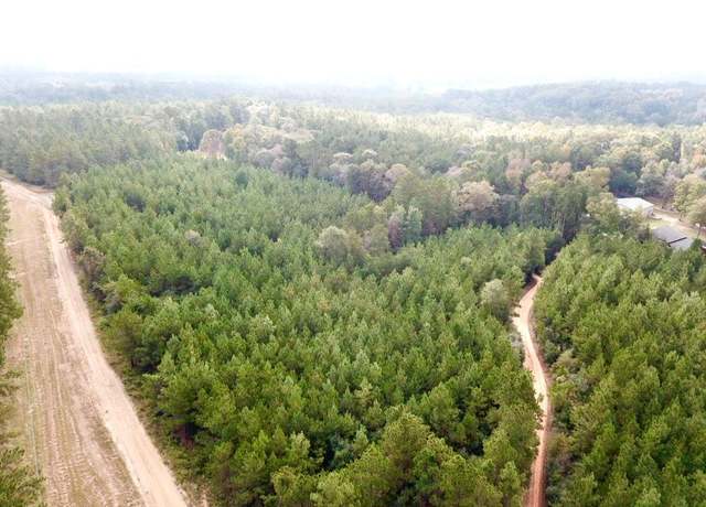 Property at 10.2 ACRES Cr 2310, Woodville, TX 75979