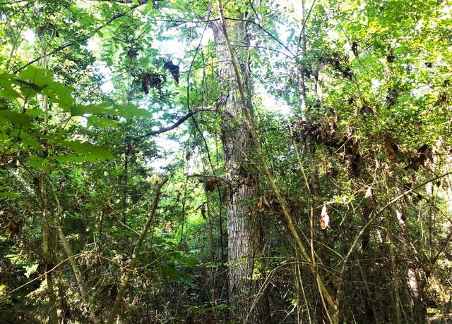 Property at 8835 S Hwy 96, Jasper, TX 75951