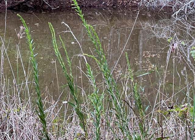 Property at R11553 Highway 12, Deweyville, TX 77614