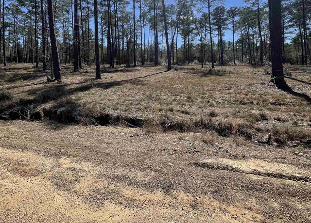 Property at Tract 1-7 Pr 6028, Brookeland, TX 75931