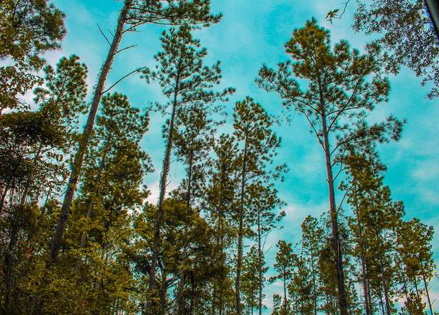 Property at PID 88825 Earl Largent Rd, Hudson, TX 75904