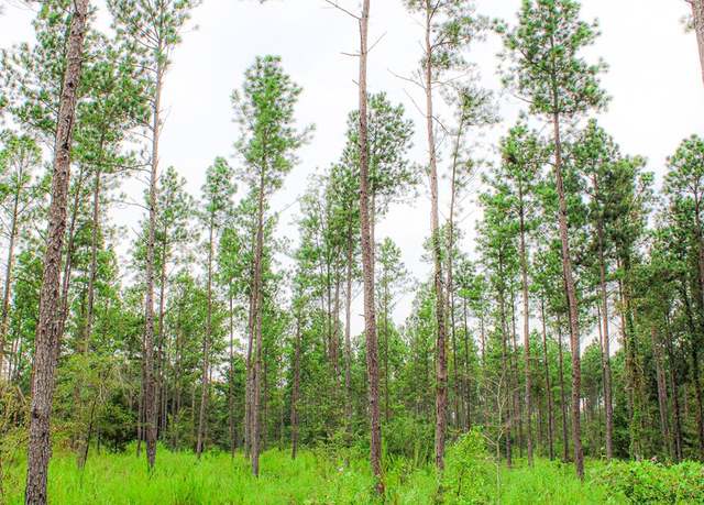 Property at PID 25103 Ben Dunn Rd, Hudson, TX 75904