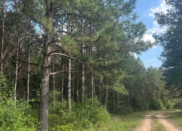 Property at 2 Fm 2262, Apple Springs, TX 75926