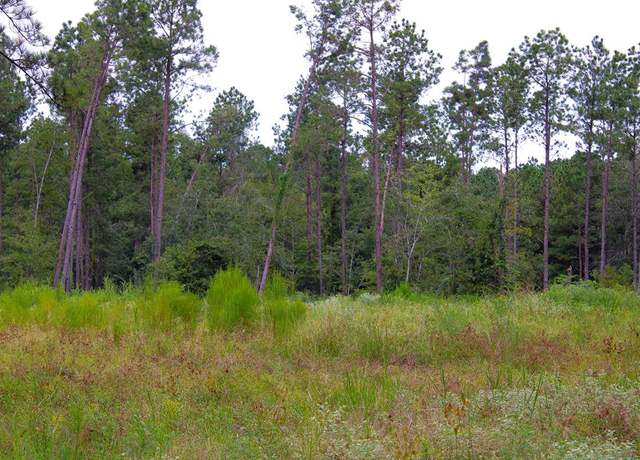Property at PID 29607 Ben Dunn Rd, Hudson, TX 75904