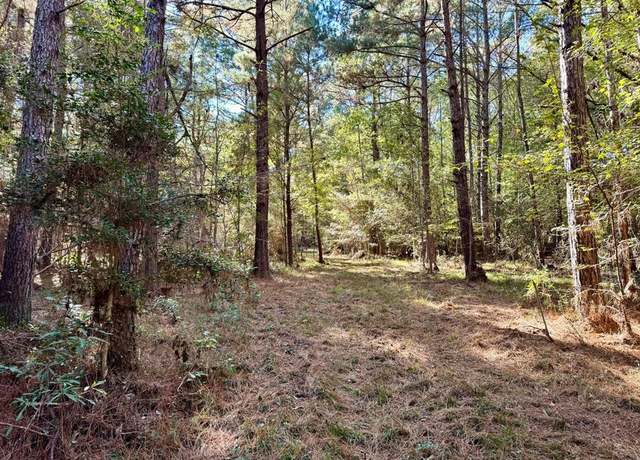 Property at R04376 County Road 4392, Spurger, TX 77660