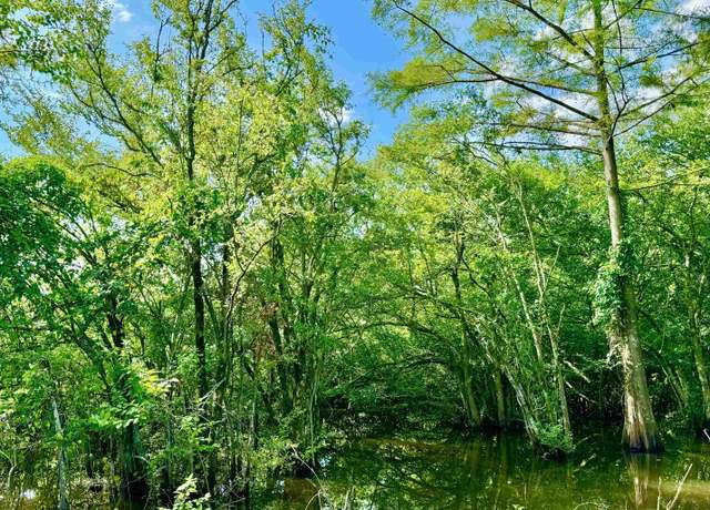 Property at 417 Old Tejas Trail West Trl, Hemphill, TX 75948