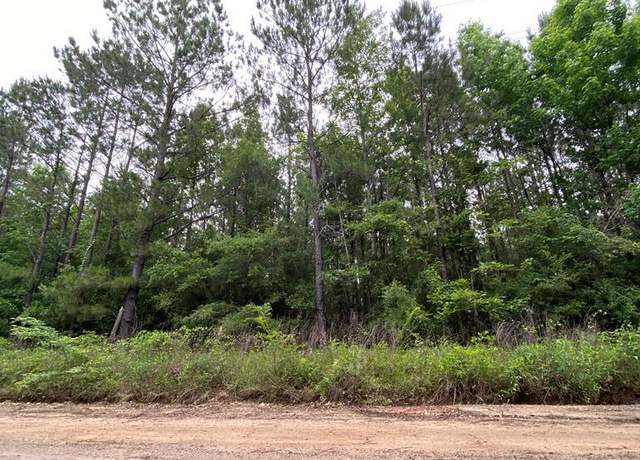 Property at L98486 Grimes Flournoy Rd, Huntington, TX 75949