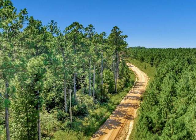 Property at 83196 Lot 16 County Road 546, Nacogdoches, TX 75961