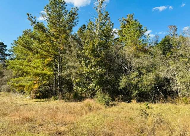 Property at Lot 82 Lakeland Rnch, Hillister, TX 77624