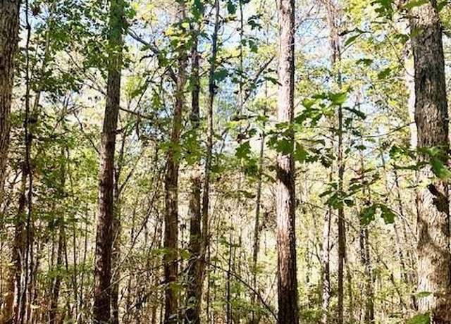 Property at Lot 1 Cr 969, Cushing, TX 75760