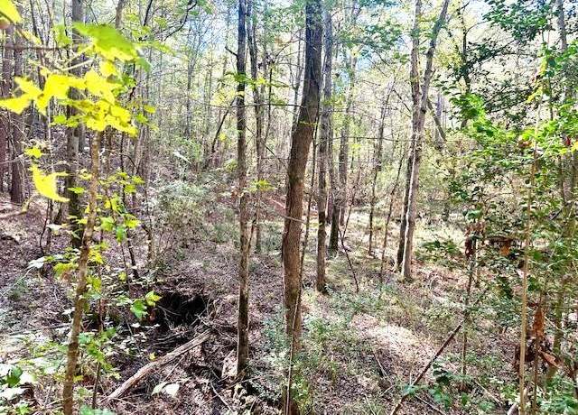 Property at Lot 2 Cr 969, Cushing, TX 75760