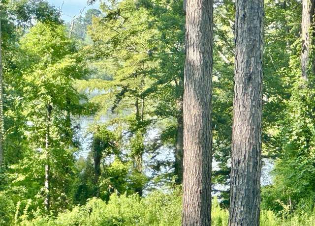 Property at 147 Old Tejas Trail West Trl, Hemphill, TX 75948