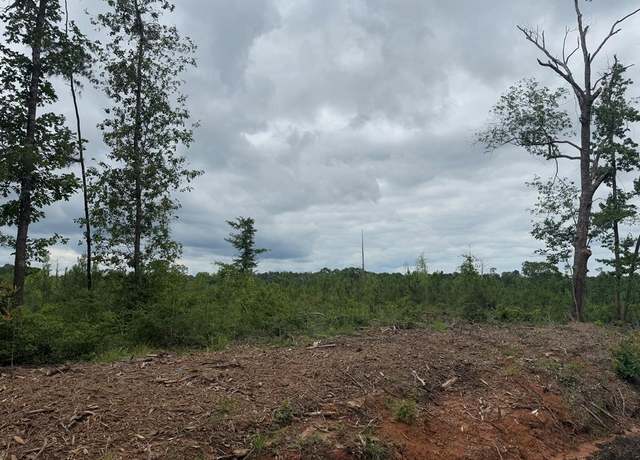 Property at TBD Fm 777, Jasper, TX 75951