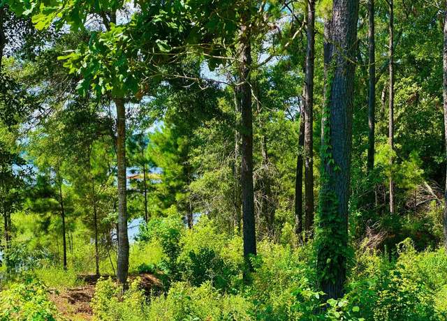 Property at 117 Old Tejas Trail West Trl, Hemphill, TX 75948