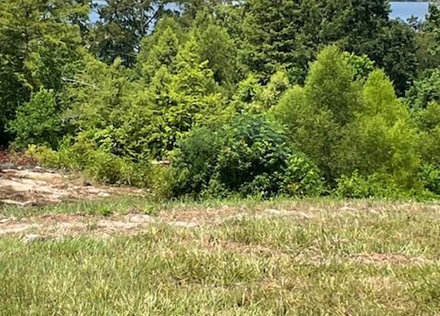 Property at 430 County Road 3360, Broaddus, TX 75929