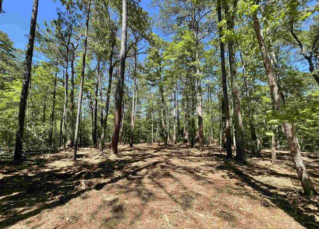 Property at Lot 237 Senita Dr, Brookeland, TX 75931
