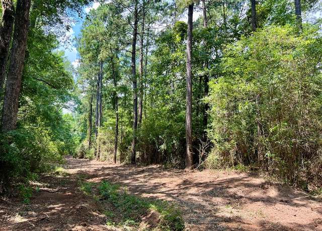 Property at 1476 Camp Springs Rd, Hemphill, TX 75948