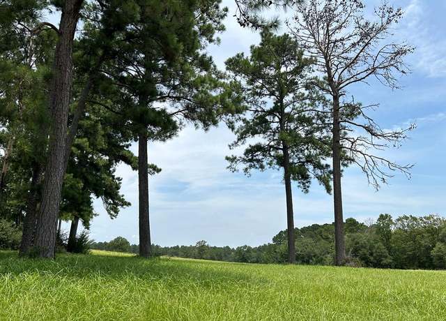 Property at LOT 378 Madison, Woodville, TX 75979