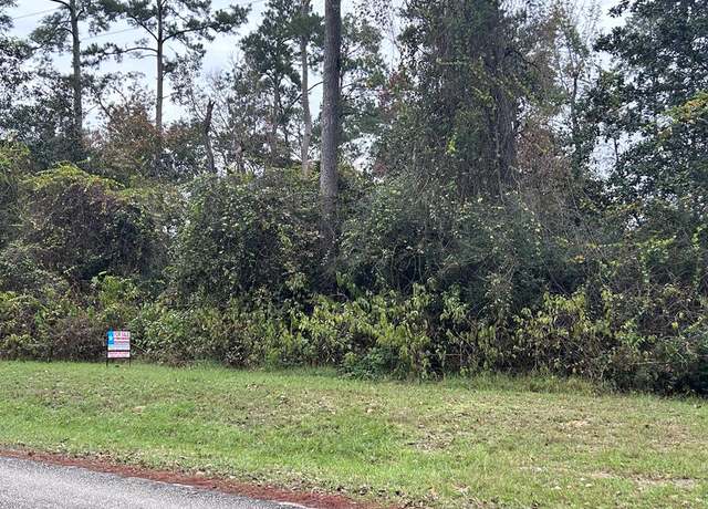 Property at TBD Hornbeam Dr, Village Mills, TX 77663