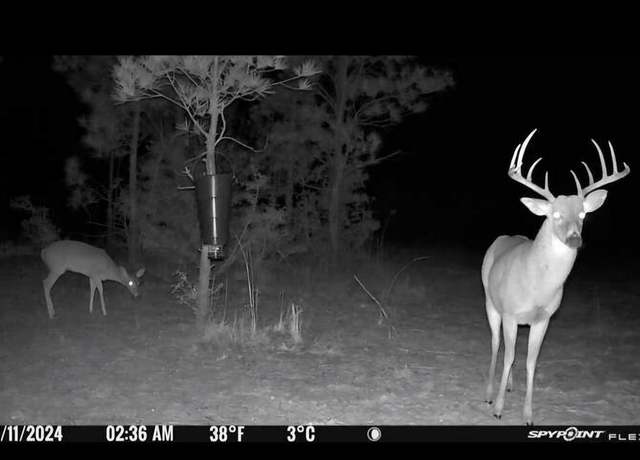 Property at 6122 TX State Hwy 63 E, Jasper, TX 75951