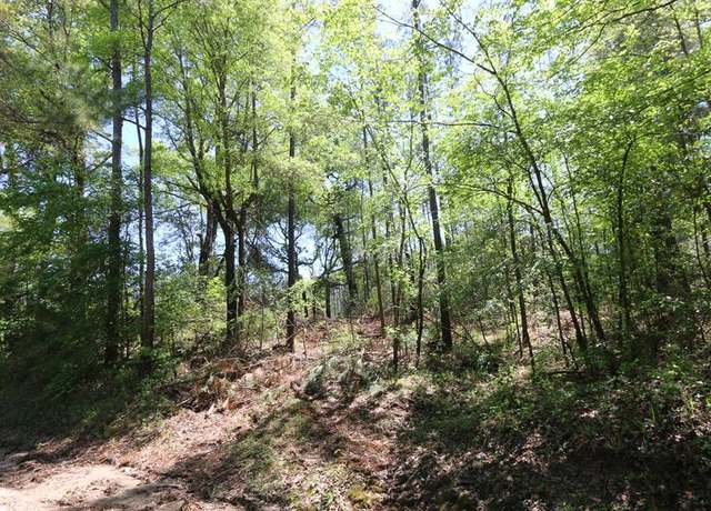 Property at 8262 Highway 63 West, Wiergate, TX 75977