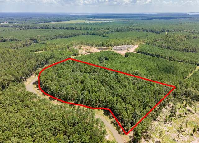 Property at Lot #36 Eagles Nest, Broaddus, TX 75929
