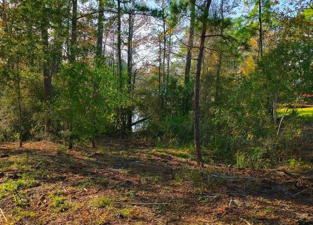 Property at 147 Sunset, Burkeville, TX 75932