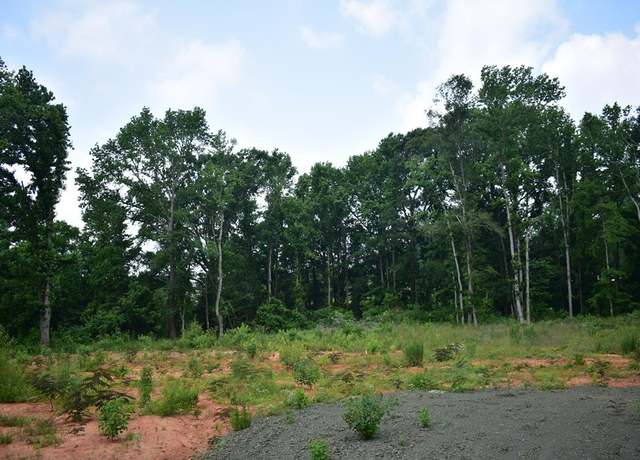 Property at TBD- LOT 4 US Hwy 259, Nacogdoches, TX 75965