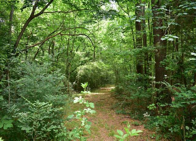 Property at Lot26-31;36-41 Cr 508, Nacogdoches, TX 75961