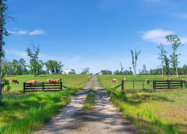 Property at 1681 County Road 3400, Colmesneil, TX 75938, 2 beds, 2.5 baths