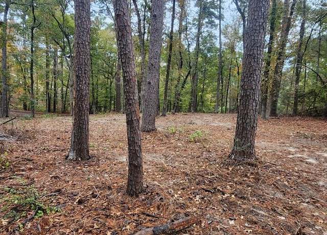 Property at TBD River Oaks, Hemphill, TX 75948