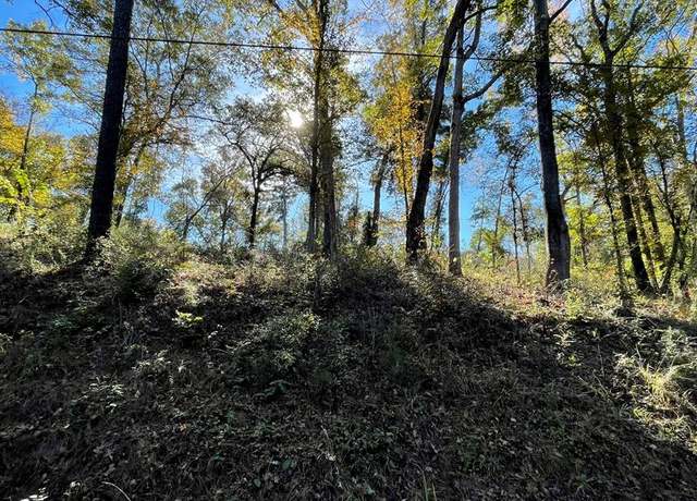 Property at 82 River Oaks Dr, Hemphill, TX 75948