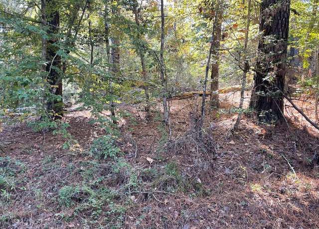 Property at 55-59.5 River Oaks Dr, Hemphill, TX 75948