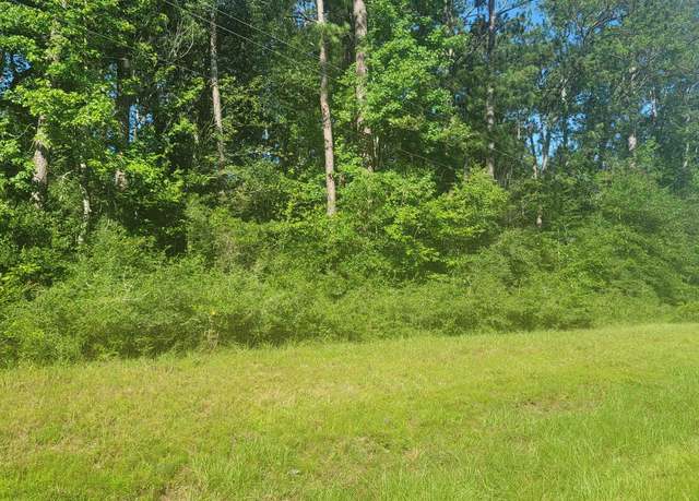 Property at 4012 E Highway 190, Newton, TX 75966