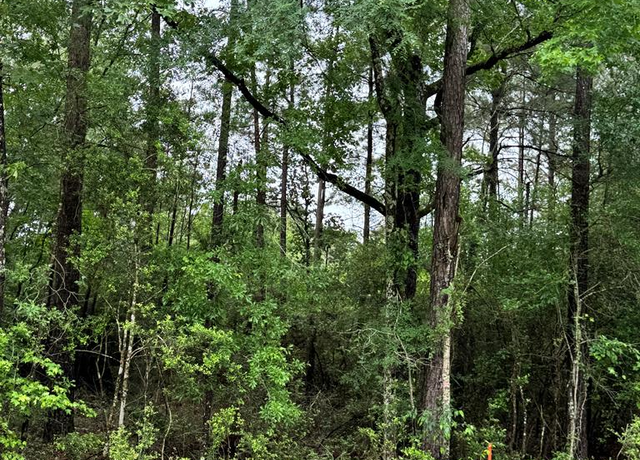 Property at 1945 Fm 353, San Augustine, TX 75972