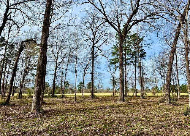 Property at 3.48 Acres Roberts Ln, Diboll, TX 75941