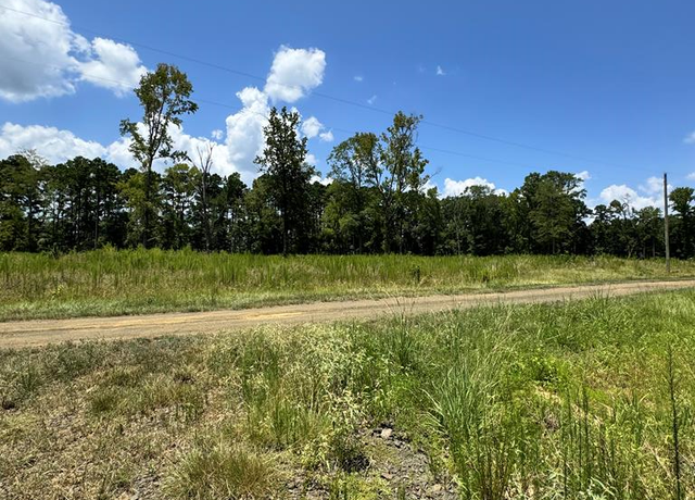 Property at R28429 (lot 11) Private Road 7700, San Augustine, TX 75972