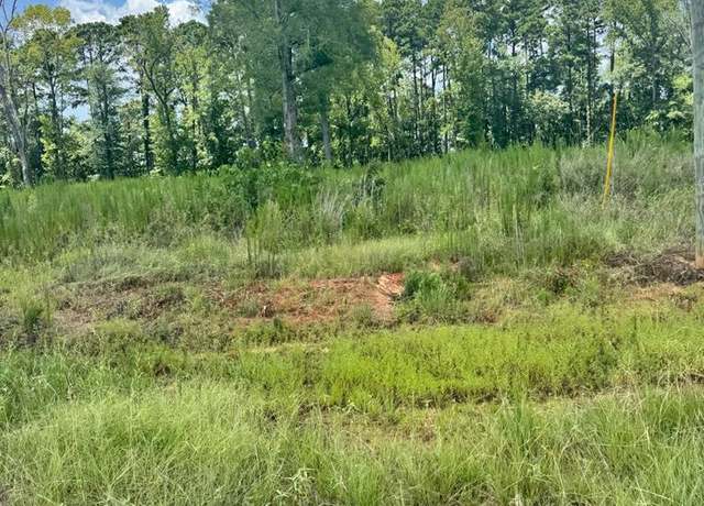 Property at R28429(lot12) Private Road 7700, San Augustine, TX 75972