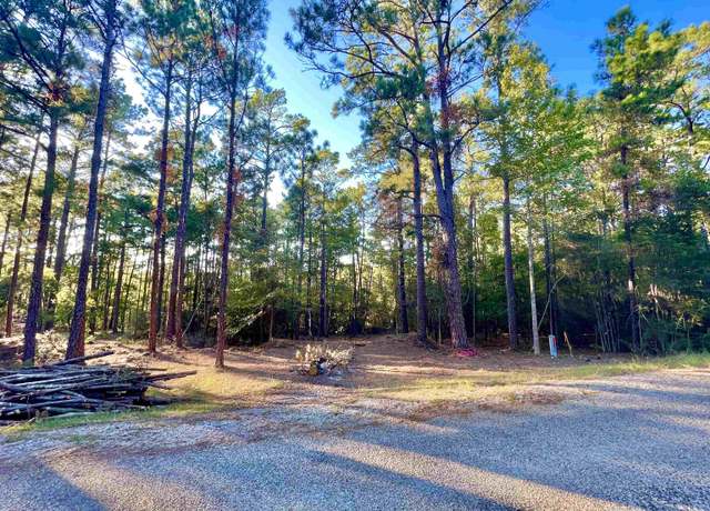 Property at 156 Pinehollow Cv, Brookeland, TX 75931